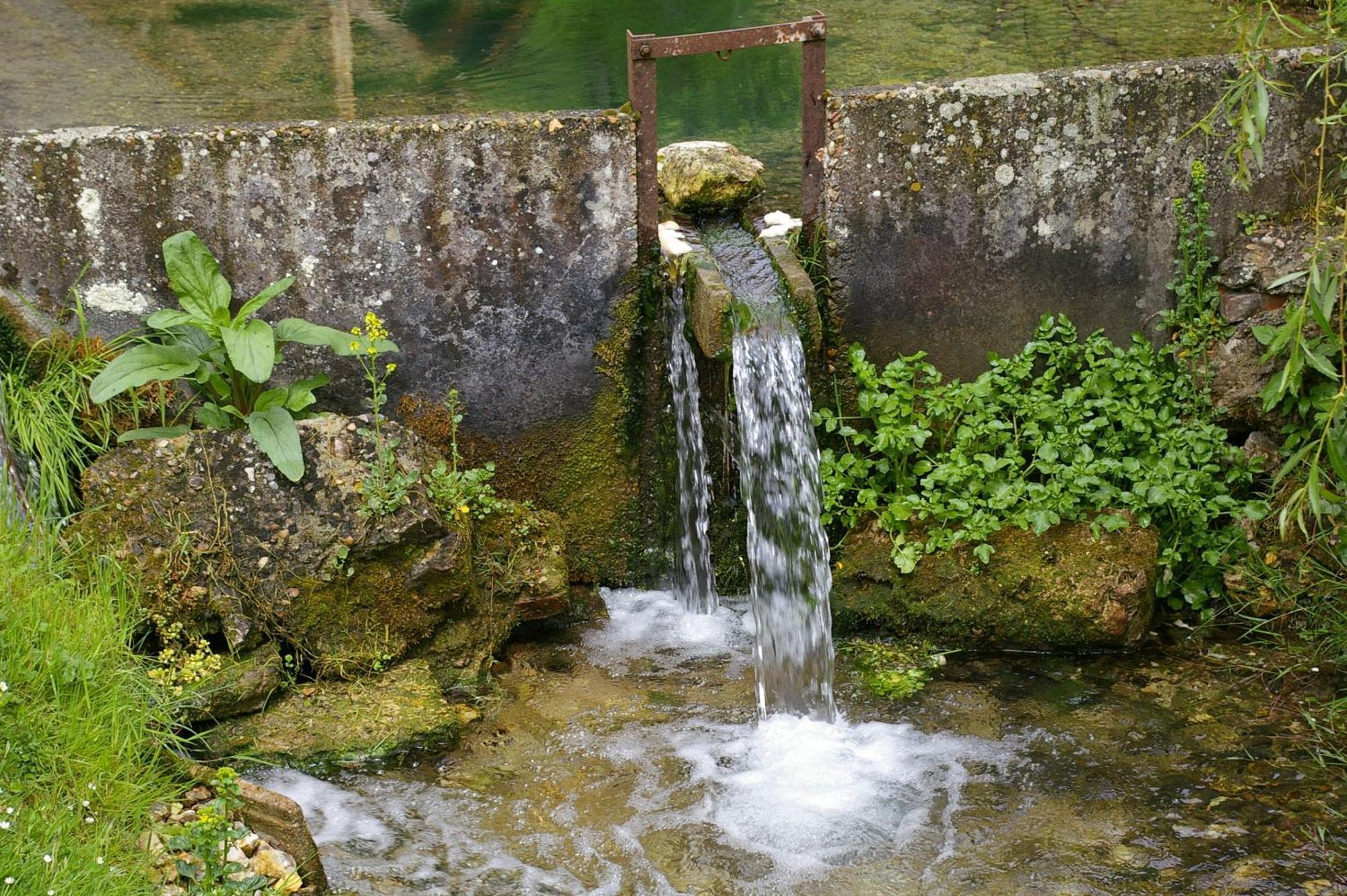La Source De Bury Bed & Breakfast Chambon-sur-Cisse Exterior photo